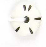 Bone Beads online Store, Bone Jewelry Crafts, Bone Buttons, Bone made crafts