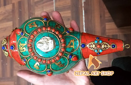 Conch shell from Nepal, conch shells for sale wholesale, Conch Shell a Buddhist Symbols,
Tibetan Conch Shell for ritual, monasteries Buddhist Conch Shell , Nepali Conch shell