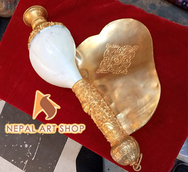 Conch shell from Nepal, conch shells for sale wholesale, Conch Shell a Buddhist Symbols,
Tibetan Conch Shell for ritual, monasteries Buddhist Conch Shell , Nepali Conch shell