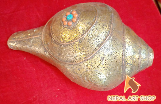 Conch shell from Nepal, conch shells for sale wholesale, Conch Shell a Buddhist Symbols,
Tibetan Conch Shell for ritual, monasteries Buddhist Conch Shell , Nepali Conch shell
