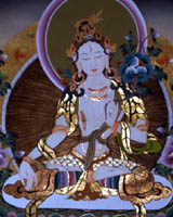 tara buddhist goddess, all buddha, tibetan thangka painting, tara bodhisattva