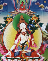 tibetan buddhist painting, buddha was white, green tara and white tara